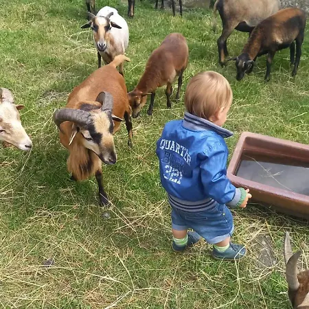 アパート Schuetzenhofer *