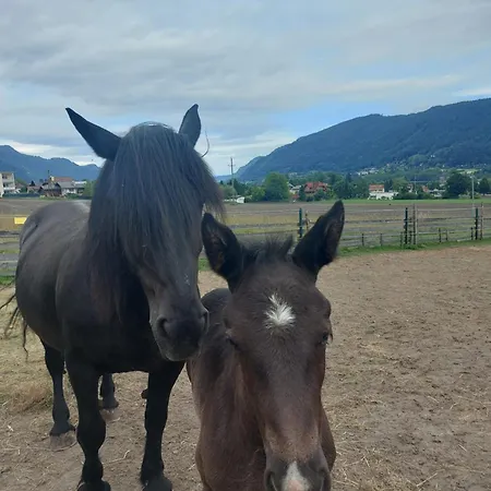 Apartament Schuetzenhofer *