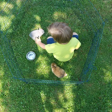 Apartament Schuetzenhofer