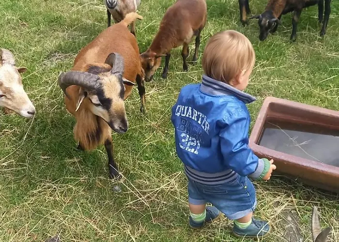 Daire Schuetzenhofer *