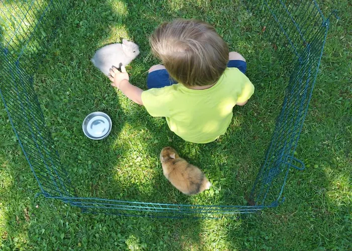 Apartament Schuetzenhofer
